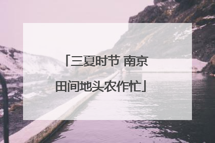 三夏时节 南京田间地头农作忙