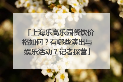 上海乐高乐园餐饮价格如何？有哪些演出与娱乐活动？记者探营