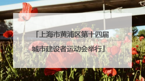 上海市黄浦区第十四届城市建设者运动会举行