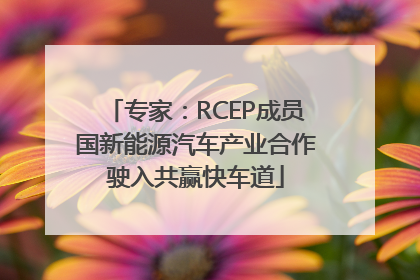 专家：RCEP成员国新能源汽车产业合作驶入共赢快车道