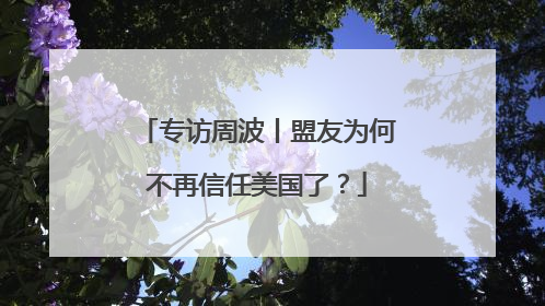专访周波丨盟友为何不再信任美国了？