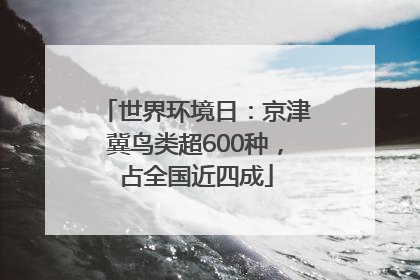 世界环境日：京津冀鸟类超600种，占全国近四成