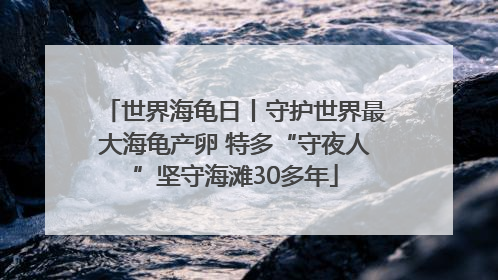 世界海龟日丨守护世界最大海龟产卵 特多“守夜人”坚守海滩30多年