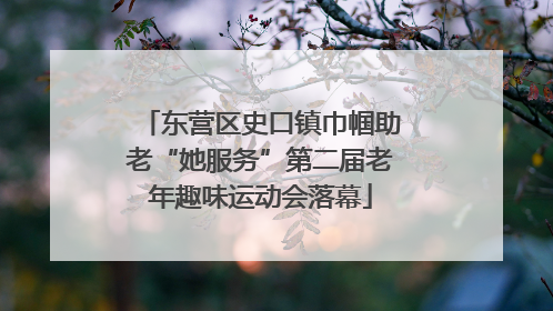 东营区史口镇巾帼助老“她服务”第二届老年趣味运动会落幕