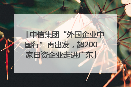 中信集团“外国企业中国行”再出发，超200家日资企业走进广东