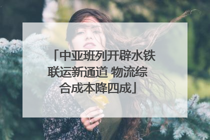 中亚班列开辟水铁联运新通道 物流综合成本降四成