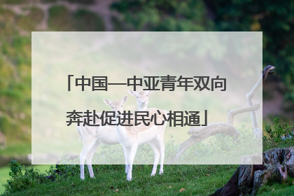 中国—中亚青年双向奔赴促进民心相通