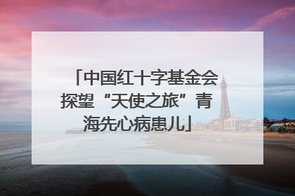 中国红十字基金会探望“天使之旅”青海先心病患儿