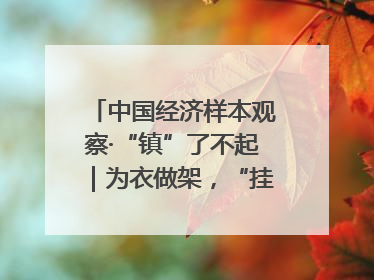 中国经济样本观察·“镇”了不起｜为衣做架，“挂”出来的80亿元“衣架产业”
