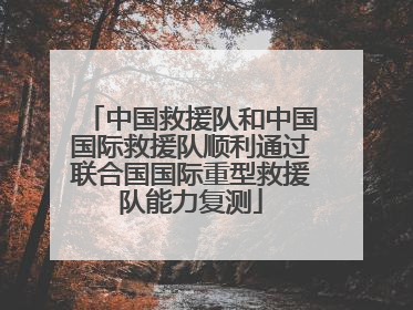 中国救援队和中国国际救援队顺利通过联合国国际重型救援队能力复测