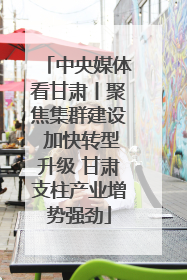 中央媒体看甘肃丨聚焦集群建设 加快转型升级 甘肃支柱产业增势强劲