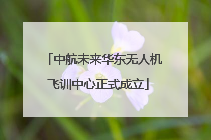 中航未来华东无人机飞训中心正式成立
