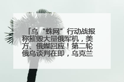 乌“蛛网”行动战报称摧毁大量俄军机，美方、俄媒回应！第二轮俄乌谈判在即，乌克兰提出三大诉求
