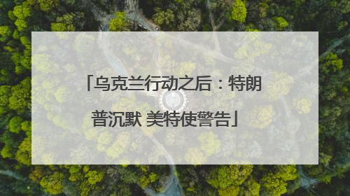 乌克兰行动之后：特朗普沉默 美特使警告