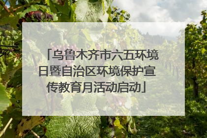 乌鲁木齐市六五环境日暨自治区环境保护宣传教育月活动启动