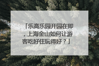 乐高乐园开园在即，上海金山如何让游客吃好住玩得好？