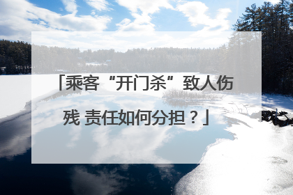 乘客“开门杀”致人伤残 责任如何分担？