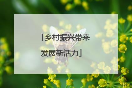 乡村振兴带来发展新活力