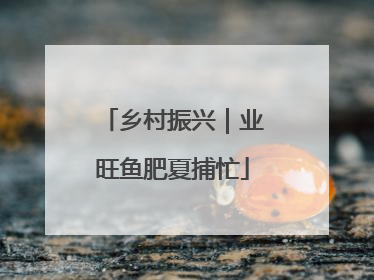 乡村振兴｜业旺鱼肥夏捕忙