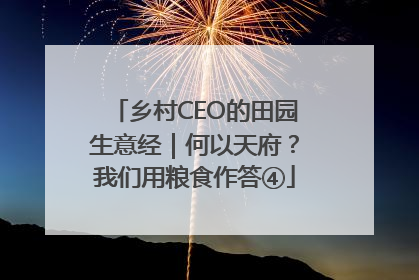 乡村CEO的田园生意经｜何以天府？我们用粮食作答④