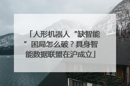 人形机器人“缺智能”困局怎么破？具身智能数据联盟在沪成立