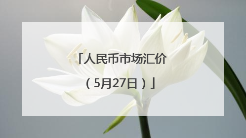 人民币市场汇价（5月27日）