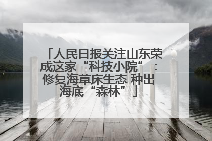 人民日报关注山东荣成这家“科技小院”：修复海草床生态 种出海底“森林”