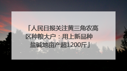 人民日报关注黄三角农高区种粮大户：用上新品种 盐碱地亩产超1200斤