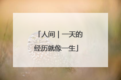 人间｜一天的经历就像一生