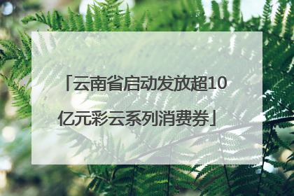 云南省启动发放超10亿元彩云系列消费券