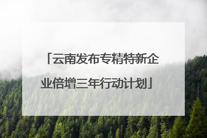 云南发布专精特新企业倍增三年行动计划