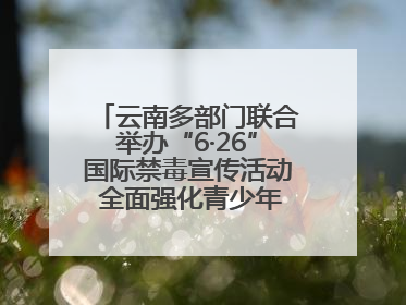 云南多部门联合举办“6·26”国际禁毒宣传活动 全面强化青少年防毒意识