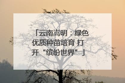 云南嵩明：绿色优质种苗培育 打开“缤纷世界”