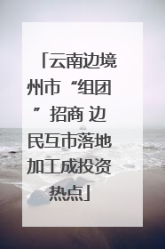 云南边境州市“组团”招商 边民互市落地加工成投资热点