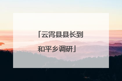 云霄县县长到和平乡调研