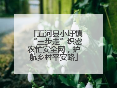 五河县小圩镇“三步走”织密农忙安全网，护航乡村平安路