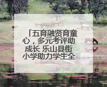 五育融贤育童心，多元考评助成长 乐山县街小学助力学生全面发展