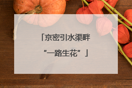 京密引水渠畔“一路生花”