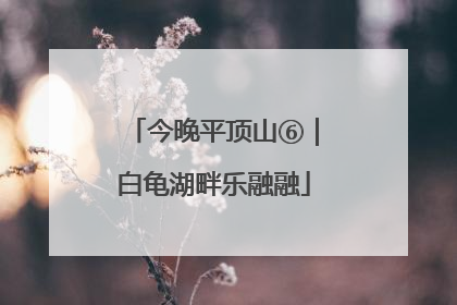 今晚平顶山⑥｜白龟湖畔乐融融