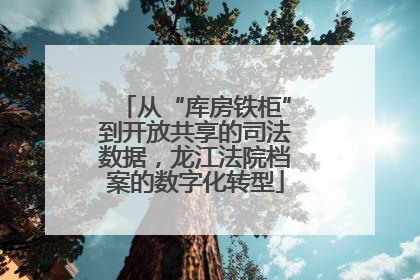 从“库房铁柜”到开放共享的司法数据，龙江法院档案的数字化转型