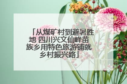 从煤矿村到避暑胜地 四川兴文仙峰苗族乡用特色旅游铺就乡村振兴路