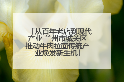 从百年老店到现代产业 兰州市城关区推动牛肉拉面传统产业焕发新生机