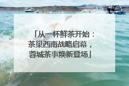 从一杯鲜茶开始：茶巢西南战略启幕，蓉城茶事焕新登场