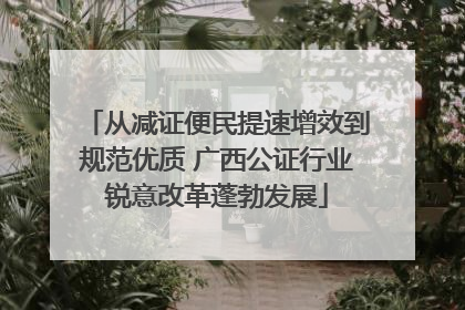 从减证便民提速增效到规范优质 广西公证行业锐意改革蓬勃发展
