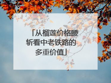 从榴莲价格腰斩看中老铁路的多重价值