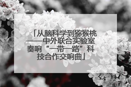 从脑科学到猕猴桃——中外联合实验室奏响“一带一路”科技合作交响曲