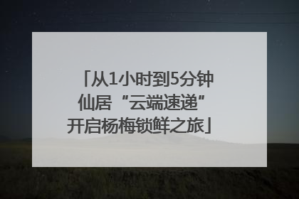 从1小时到5分钟 仙居“云端速递”开启杨梅锁鲜之旅