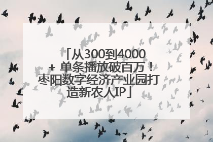 从300到4000+ 单条播放破百万！枣阳数字经济产业园打造新农人IP