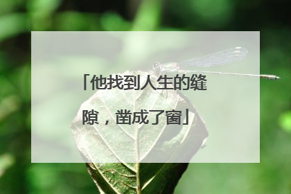 他找到人生的缝隙，凿成了窗