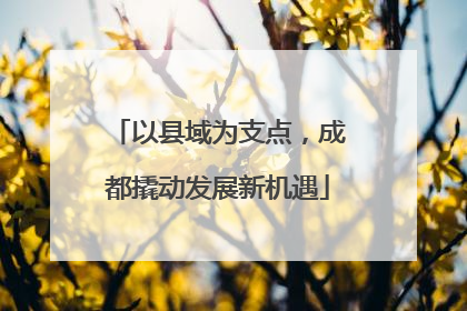 以县域为支点，成都撬动发展新机遇